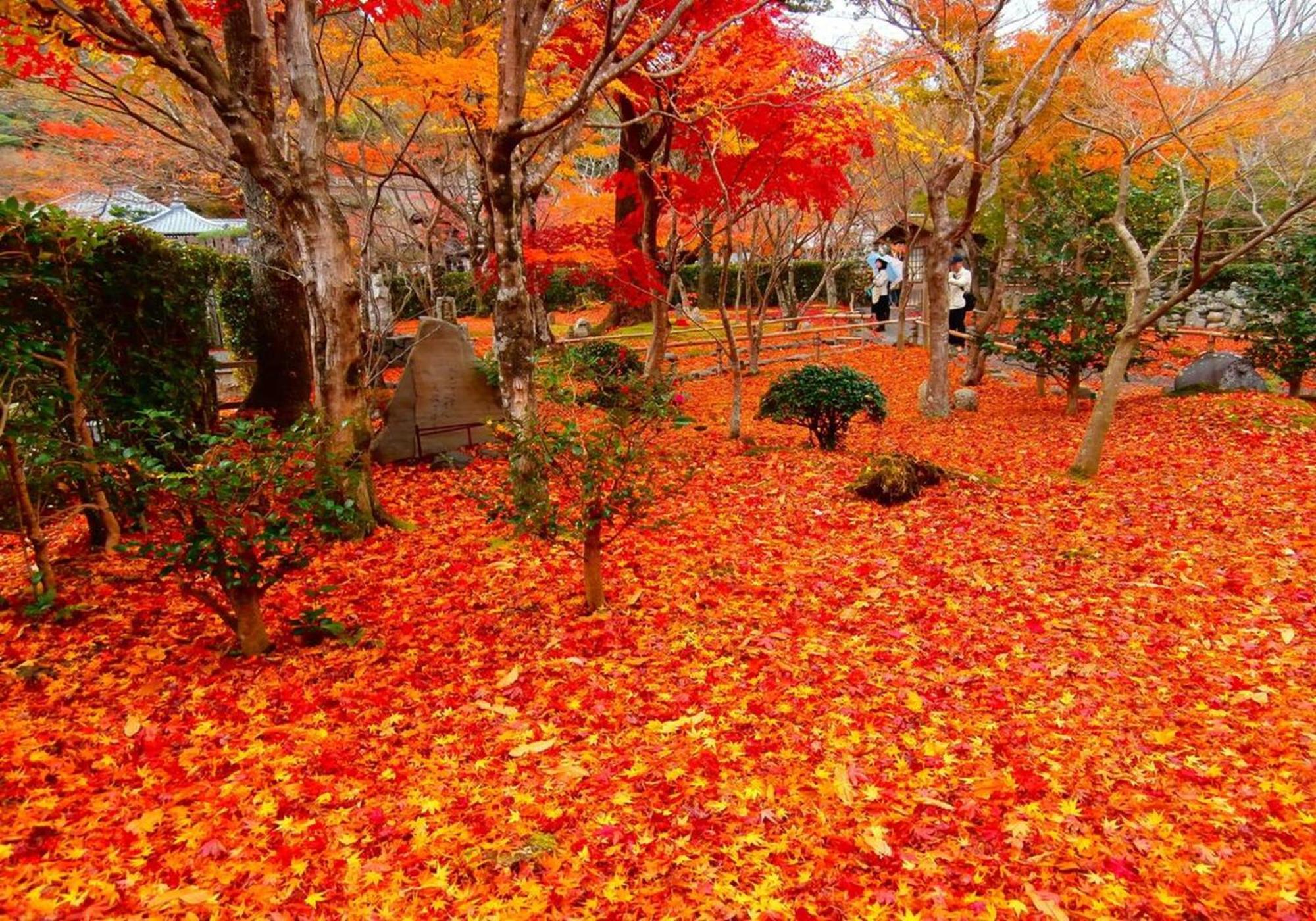 402 Newly Opened Hotel Baika Family Friendly Free Parking 10 Minutes To Usj Osaka Exterior foto